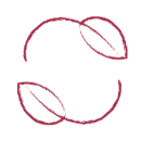 Condivisione <br>e Rispetto